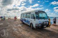 Whale Shark Tours – Ningaloo  Whaleshark-N-Dive  image 1